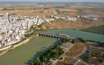 Prevención de riesgos laborales en Alcalá del Río